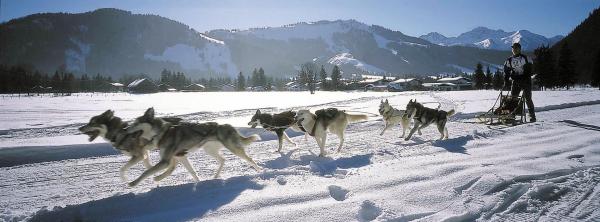 Bild 1 von 3: Im Bild: Hundeschlittenrennen.