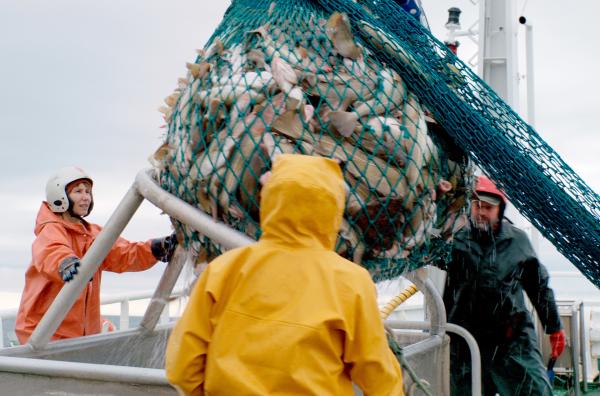Bild 1 von 3: Lili (Dinara Drukarova, li.) leert das Fischernetz mit den Matrosen Simon (Dylan Robert, Mi.) und Jude (Björn Hlynur Haraldsson, re.).