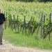 Expedition in die Heimat