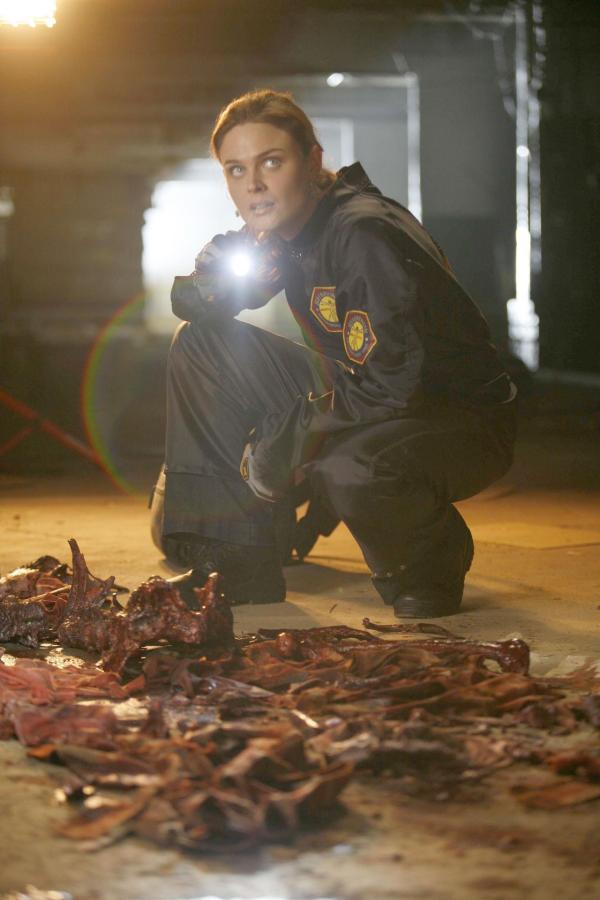 Bild 1 von 9: Dr. Brennan (Emily Deschanel)