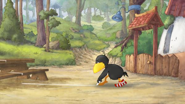 Bild 1 von 4: Socke teilt den Wald ab sofort in zwei Hälften.