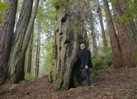 Kaliforniens Traumhäuser