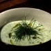 Kräutergarten: Dill