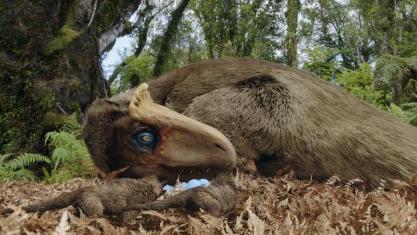 Bild 1 von 12: Viele Forscher trauen den antarktischen Dinosauriern zu, ihre Eier bereits wie Vögel selbst ausgebrütet zu haben. Im wärmeren Gegenden konnten ihre Verwandten die Eier der Sonne zum Ausbrüten überlassen, wie es viele heute lebende Reptilien tun.