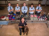 Border Patrol New Zealand - Einsatz an der Grenze