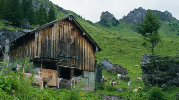 Bild 1 von 4: .