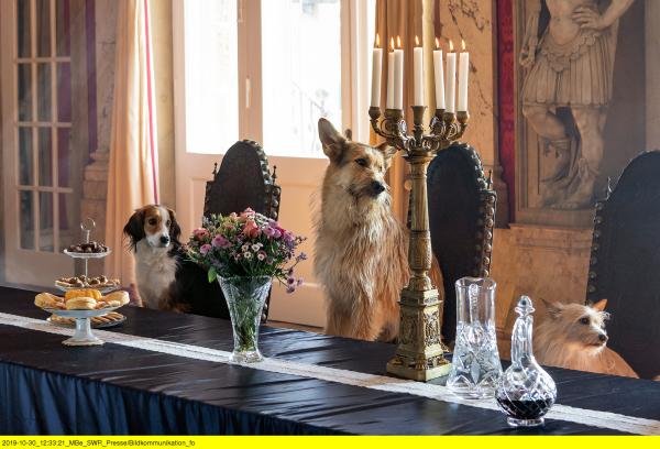 Bild 1 von 13: Ein königliches Hundeleben - bei der Geburt wurden die Königskinder von der bösen Königinmutter durch Hunde ersetzt.