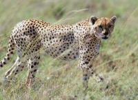 Naturparadiese am Äquator