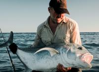 Chasing Monsters - Monsterfischen auf der Spur