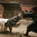 Forbidden Kingdom