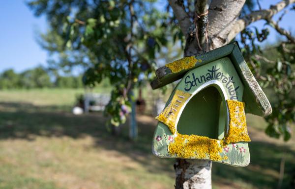 Bild 1 von 3: Im Garten von Gastgeberin Dajana Schmitt finden die Vögel auch ein schönes Zuhause.