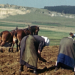 100 Jahre Landwirtschaft im Südwesten