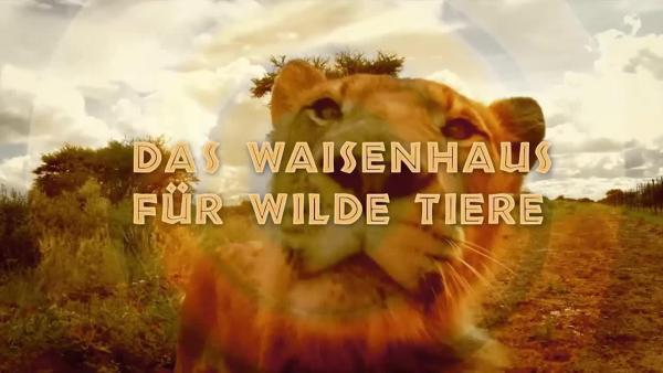 Bild 1 von 1: .
