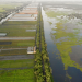 Wildes Vietnam