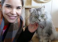 Anna und die Haustiere