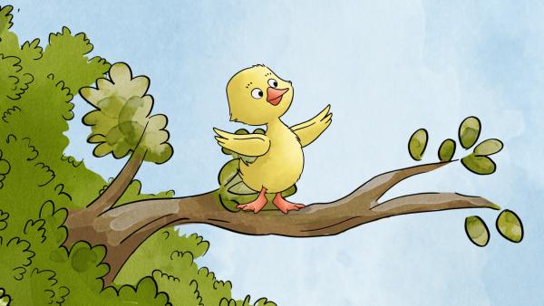 Bild 1 von 2: Entchen Alina will jetzt lernen zu fliegen und sorgt für eine Riesenaufregung.