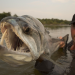 Chasing Monsters - Monsterfischen auf der Spur