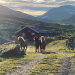 Mittsommer in Norwegen