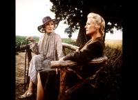 Das Erbe der Guldenburgs