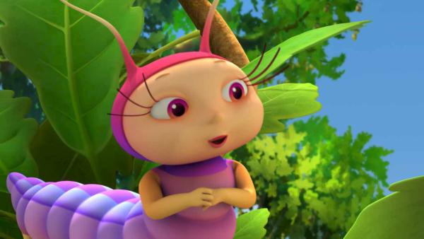 Bild 1 von 7: Die Raupe Ulla in ihrem Lieblingsbaum.