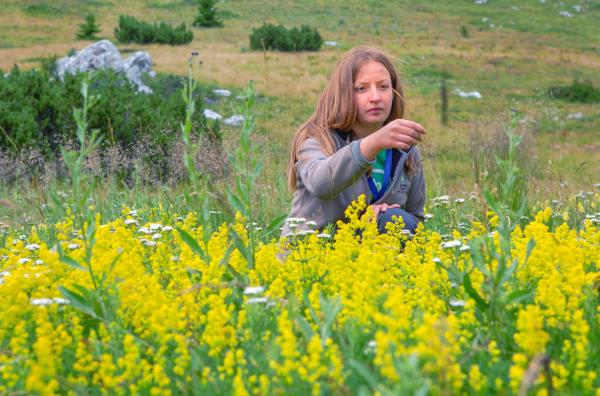 Bild 1 von 5: Der Botanische Garten im Velebit-Gebirge liegt auf einer Höhe von 1.480 Metern über dem Meeresspiegel und ist damit der höchstgelegene Garten in Kroatien.