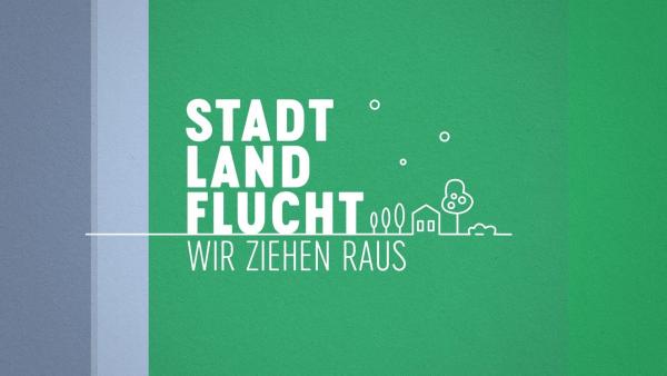 Bild 1 von 3: 