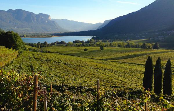 Bild 1 von 5: Der Kalterer See.