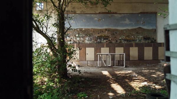 Bild 1 von 4: Sendungsbild