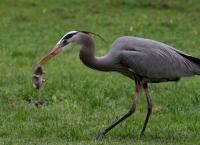 Unbekanntes Kalifornien