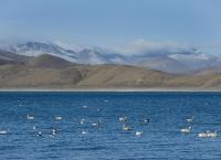 Brahmaputra - Der große Fluss vom Himalaya
