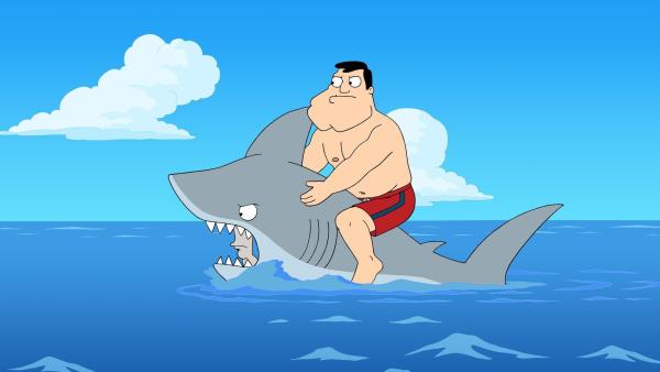 Bild 1 von 11: Stan (oben); Roger (unten)