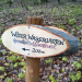 Bilder zur Sendung: Erlebnis Hessen