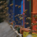 Die Bienenflüsterer