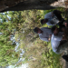 Abenteuer Wildnis