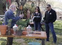 CSI: Den Tätern auf der Spur