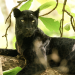 Abenteuer Wildnis