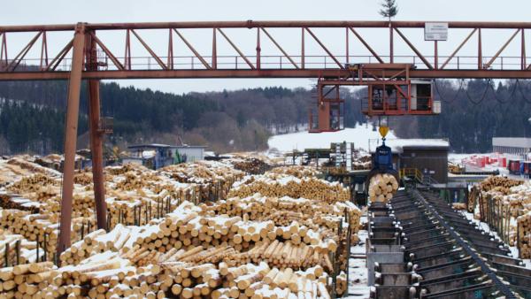 Bild 1 von 2: Die Reportage zeigt den Bau eines Holzständer-Hauses vom Fällen der Bäume bis zum Aufbau seiner Grundmauern.