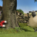 Shaun das Schaf