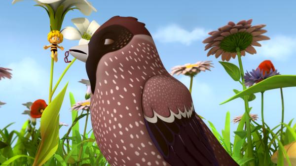 Bild 1 von 12: Wofür braucht eine Meise Walters Brille?