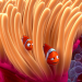 Findet Nemo