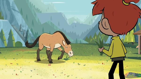 Bild 1 von 3: Normalerweise gelingt es Taylor zu allen Tieren schnell Vertrauen zu gewinnen, nicht so bei dem scheuen Przewalski-Pferd Darius.