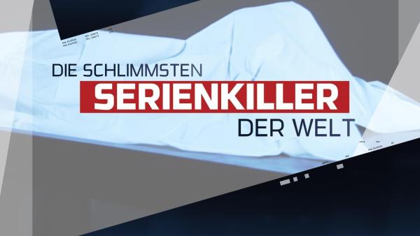 Bild 1 von 7: 