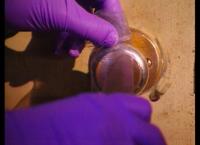 Medical Detectives - Geheimnisse der Gerichtsmedizin