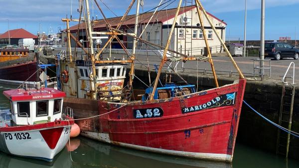 Bild 1 von 5: Der kleine Fischerort Arbroath ist berühmt für seinen Räucherfisch, den \