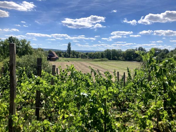 Bild 1 von 11: Bad Windsheim, Fränkisches Freilandmuseum.