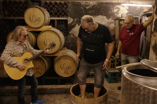 Bild 1 von 8: Waldi (M.) und Ricardo (l.) beim Winzer (r.)