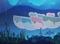 INUI - Abenteuer am Nordpol