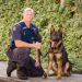 Hunde im Einsatz