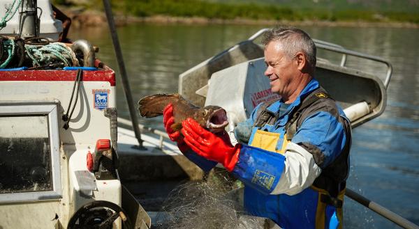Bild 1 von 1: Geir Halvard Nilssen ist jeden Tag mit seinem Forscher rund um die Lofoten unterwegs. Die Fischerei ist einer der wichtigsten Einnahmequellen für die Menschen auf den Lofoten.