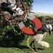 Shaun das Schaf